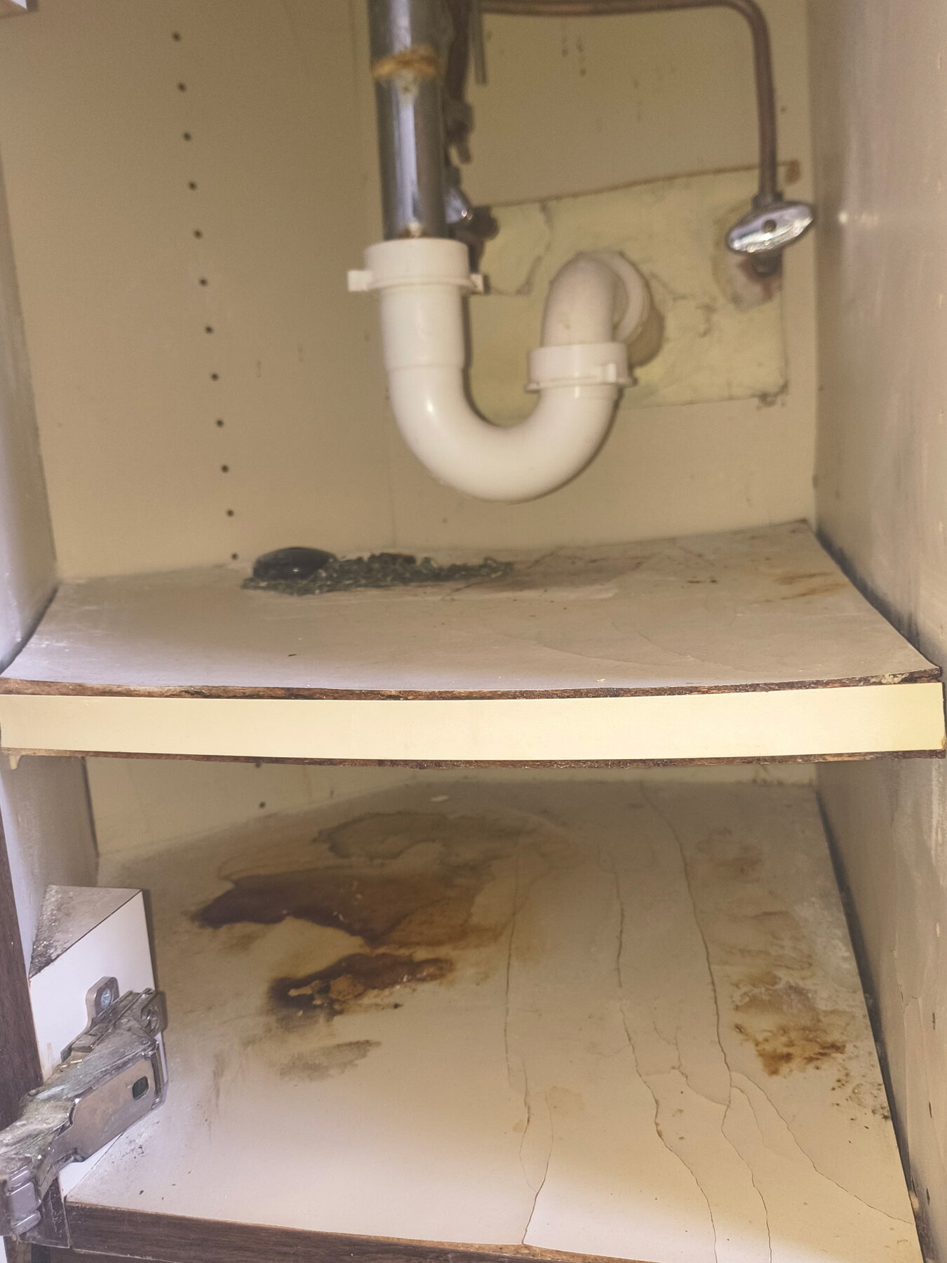 Hidden leak detection and under-sink repair